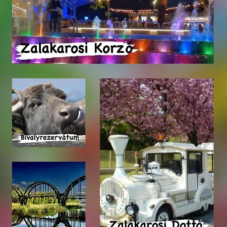 Kevin Zalakaros